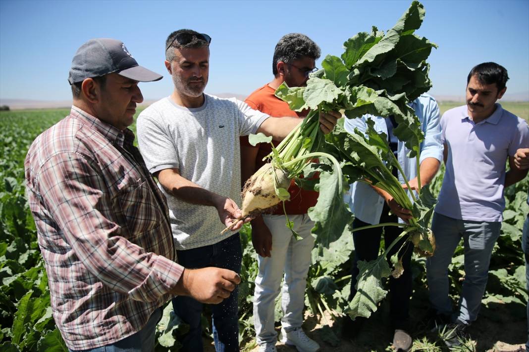 Konyalı çiftçiler endişeli! Kuraklık vurdu, verim ve kalite düştü 5